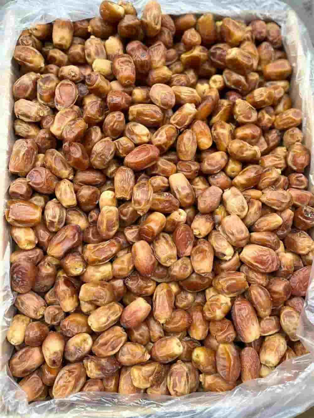 خرما زاهدی بدون هسته با بافت نرم و طعم دلپذیر